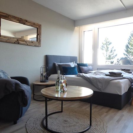Mountain Suite Winterberg Pool Sauna Hund 4 Pers Wifi Near Bikepark Exterior foto