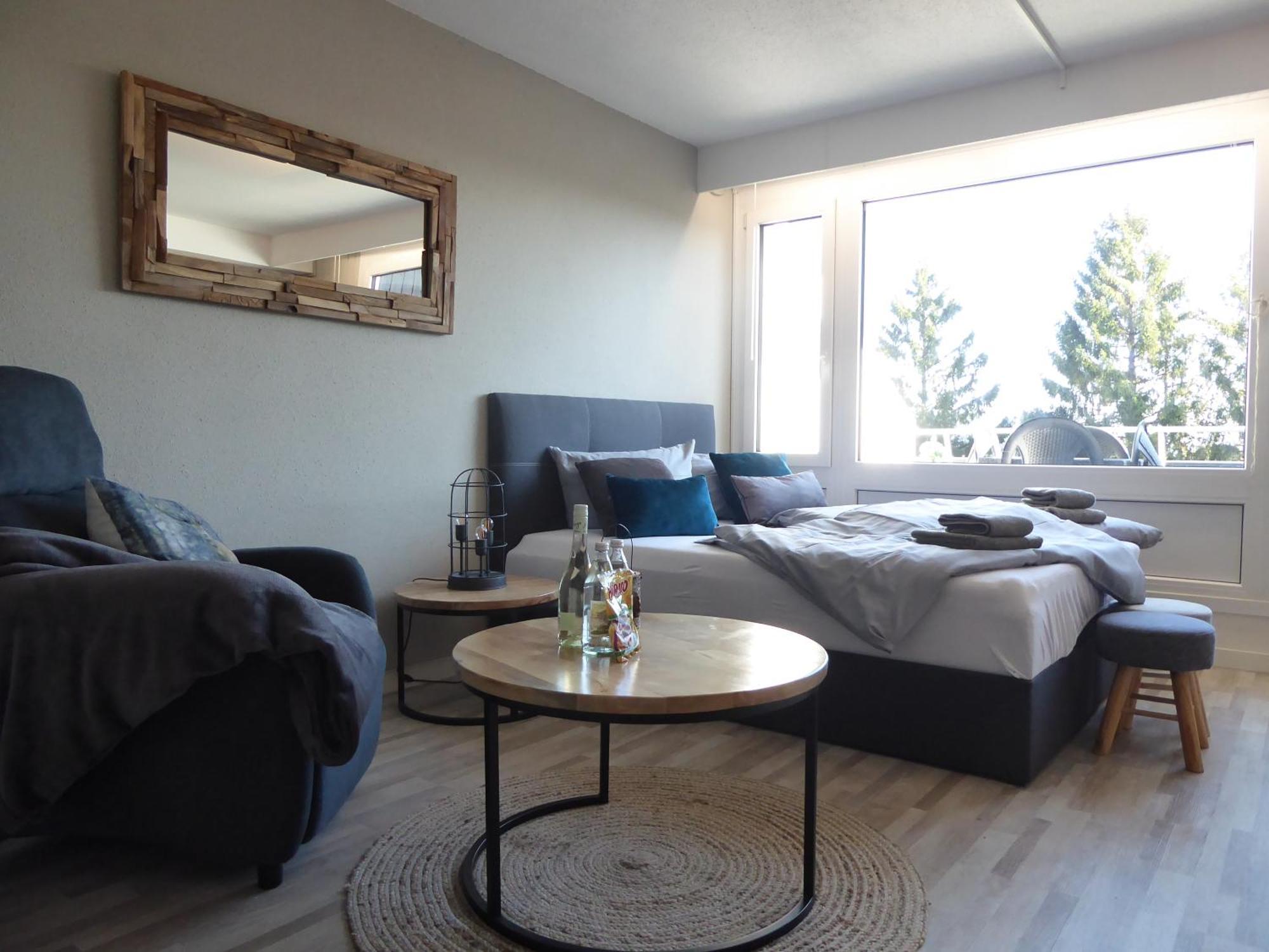 Mountain Suite Winterberg Pool Sauna Hund 4 Pers Wifi Near Bikepark Exterior foto